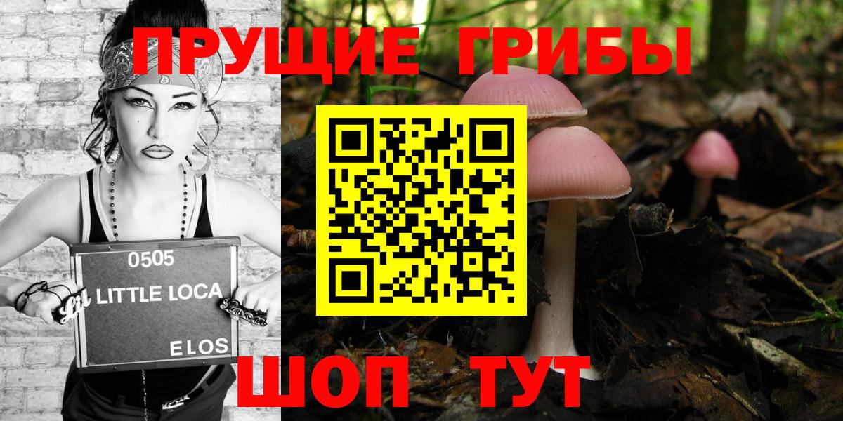 Кувандык  Галлюциногенные грибы Cubensis  Вход с VPN 